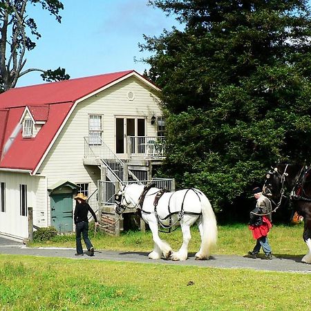 فيلا The Carriage House-Bay Of Islands كيريكيري المظهر الخارجي الصورة